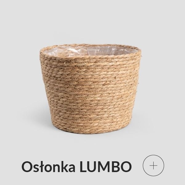 Osłonka na roślinę