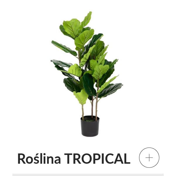 Roślina sztuczna figowiec