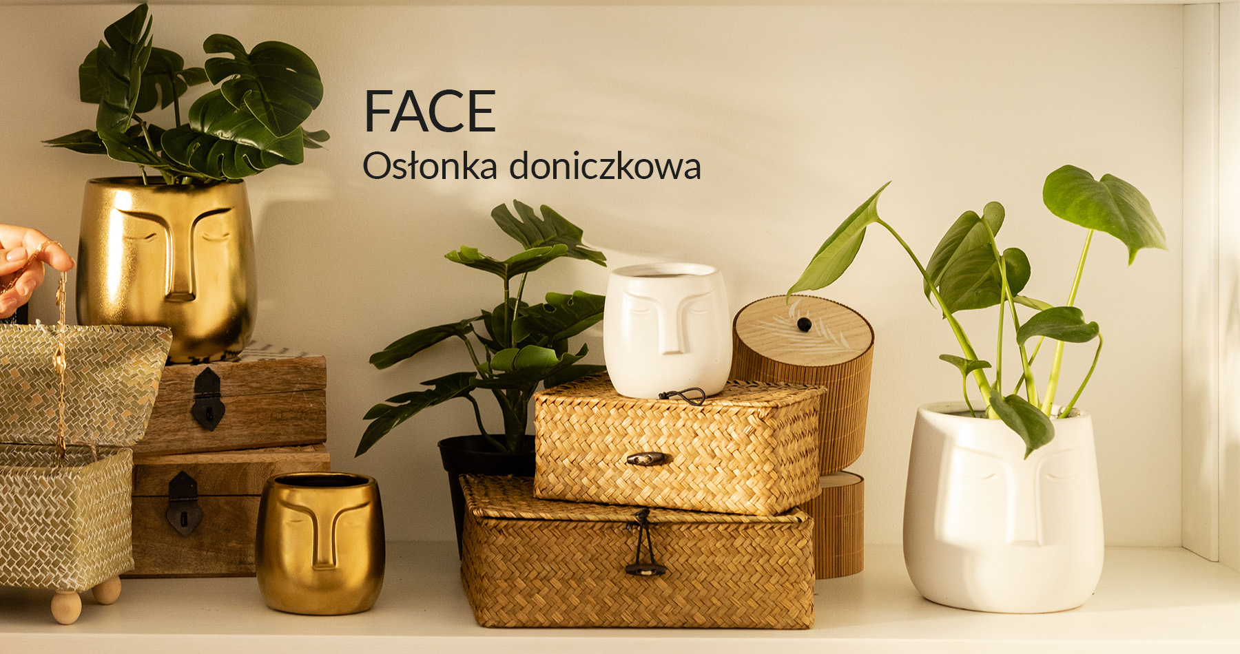Osłonki na doniczki